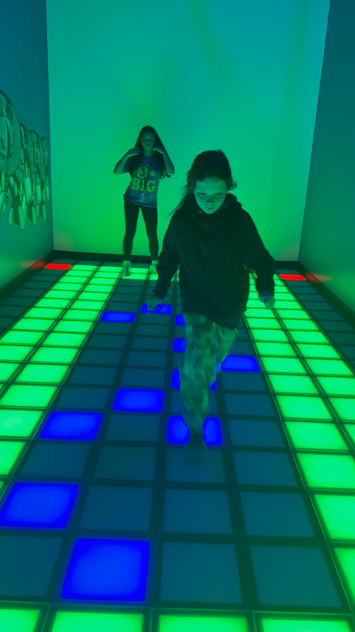 Gallery 8